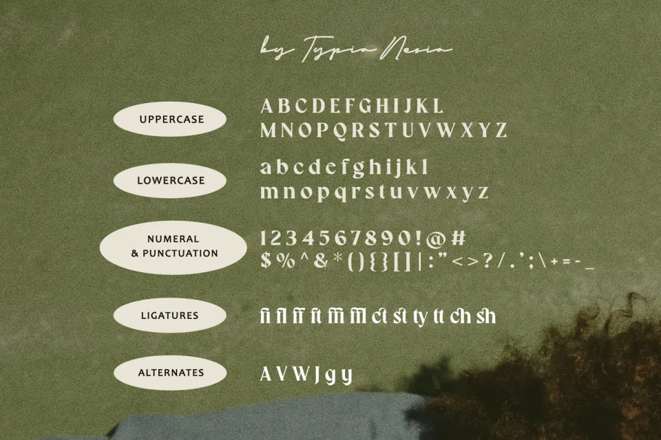 Retro Typography Font