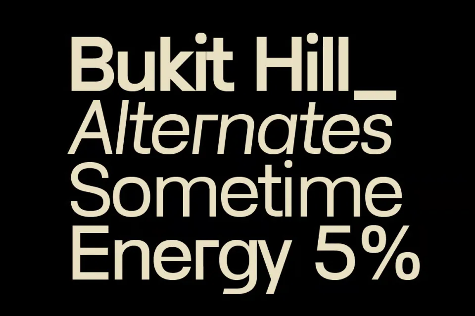 Lenia Sans font family for clean website typography and modern user interfaces