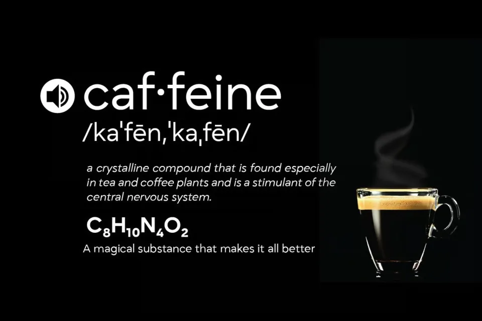 Grift variable sans serif font typography preview