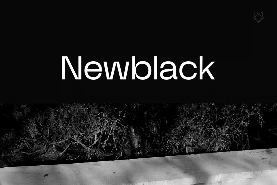 NewBlack Typeface Modern Sans Serif Font