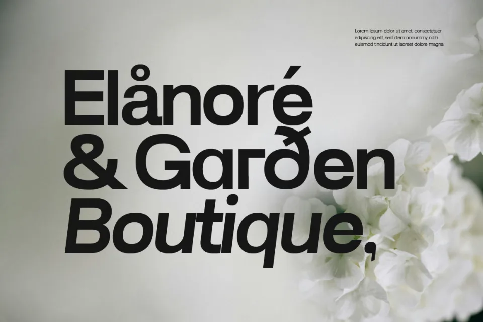 Lenia Sans Geometric Sans Serif Font Family featuring versatile styles and modern typographic design