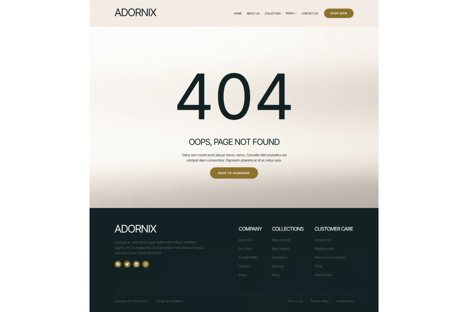 Modern Jewelry Store